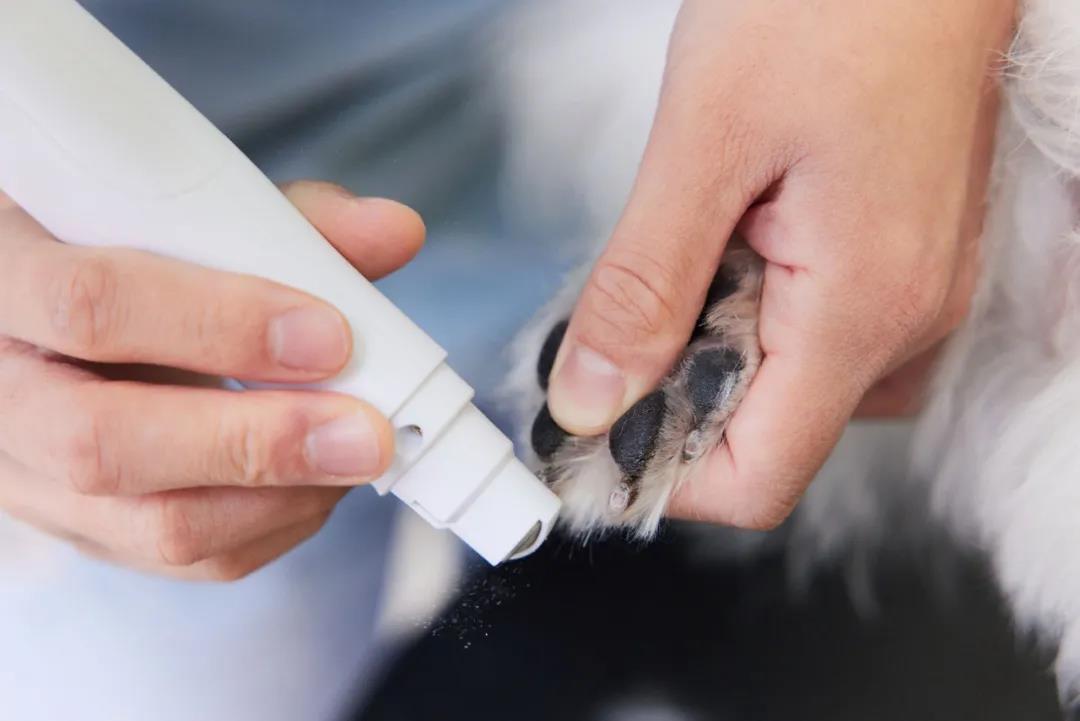 微信图片_20211226103428.jpg 微信图片_20211226103428.jpg